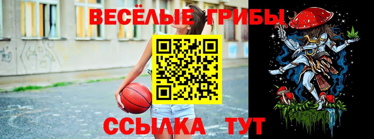 Наркошоп  ГАШИШ  Кетамин  Майкоп  Cocaine  Вход с VPN  Канабис  Меф МЯУ МЯУ  